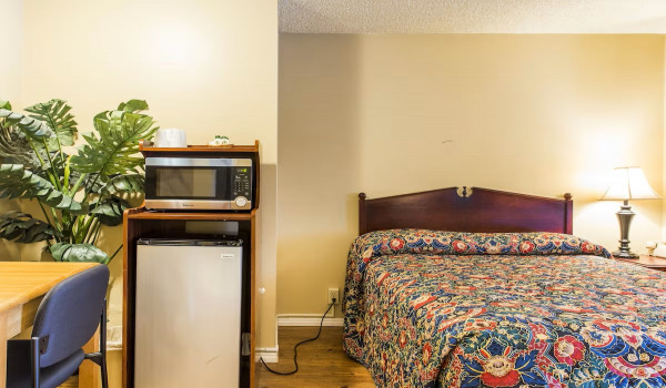 San Luis Inn and Suites Gallery - Queen Room