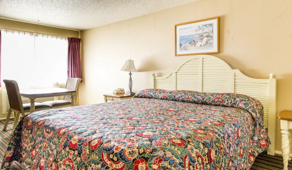 San Luis Inn and Suites Gallery - King Room